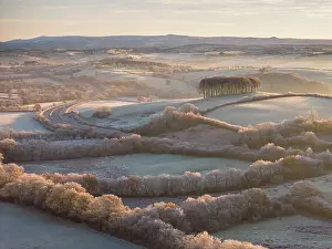 Aerial view of Cookworthy Knapp (Nearly Home Trees) near Lifton in West Devon, England. Autumn (November) 2023