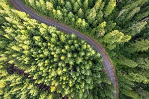 Aerial view of a curving road in the forest, Skamania County, Washington, USA