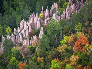 Larch Tree Prints: Aerial view of the earth pyramids in the autumn woods
