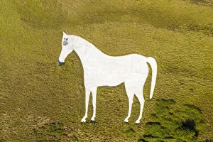 Images Dated 19th August 2019: Aerial view of the famous White Horse below Bratton Camp, an Iron Age hillfort near
