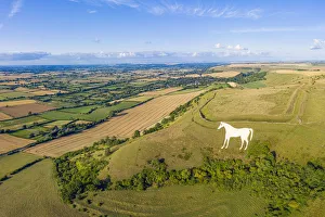 Images Dated 19th August 2019: Aerial view of the famous White Horse below Bratton Camp, an Iron Age hillfort near