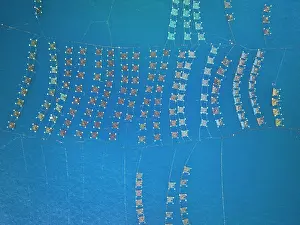Straight Down Prints: Aerial view of floating lobster cages, Tuy An, Phu Yen Province, Vietnam