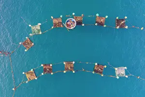 Straight Down Prints: Aerial view of floating lobster cages, Tuy An, Phu Yen Province, Vietnam