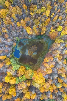 aerial view of the forest and lake with autumn colors, tuscan-emilian apennine national