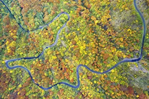 Vertical Gallery: aerial view of the forest and road with autumn colors, tuscan-emilian apennine national