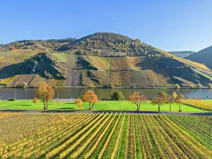 River Mosel Prints: Aerial view at Geierslay rocks near Wintrich