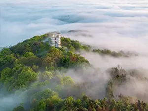 Exeter Prints: Aerial view of Haldon Belvedere (Lawrence Castle) on a misty spring morning