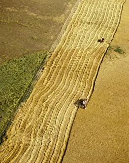 Aerial Photo Gallery: Aerial view of harvesting in Ribatejo, Portugal