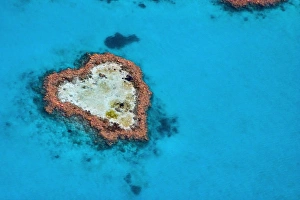 Queens Land Gallery: An aerial view of Heart Reef
