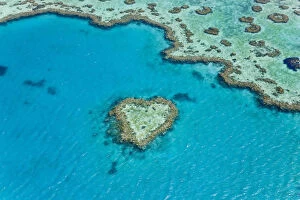 Peter Adams Collection: Aerial view of Heart Reef, part of Great Barrier Reef, Queensland, Australia