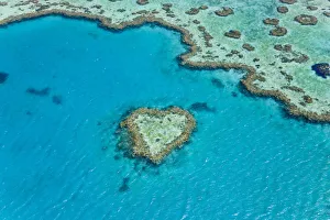 Australian Gallery: Aerial view of Heart Reef, part of Great Barrier Reef, Queensland, Australia