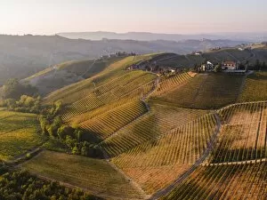 Images Dated 14th October 2017: Aerial view over the hills of Le Langhe wine region in autumn, Piedmont, Italy