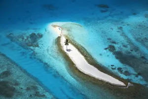 Southwest Prints: Aerial View over Island with Lone Palm Tree, Maldives, Indian Ocean