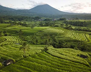 Aerial View of Jatiluwih Rice Terraces, Tabanan, Bali, Indonesia
