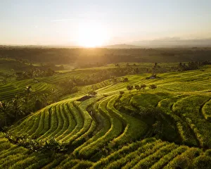Aerial View of Jatiluwih Rice Terraces, Tabanan, Bali, Indonesia