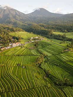 Aerial View of Jatiluwih Rice Terraces, Tabanan, Bali, Indonesia