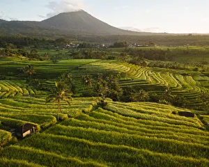 Aerial View of Jatiluwih Rice Terraces, Tabanan, Bali, Indonesia