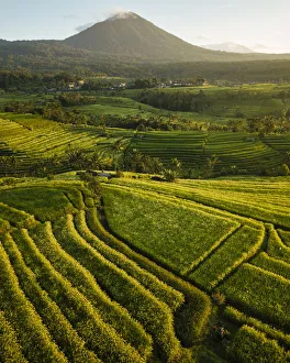 Aerial View of Jatiluwih Rice Terraces, Tabanan, Bali, Indonesia