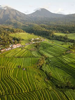Images Dated 21st June 2019: Aerial View of Jatiluwih Rice Terraces, Tabanan, Bali, Indonesia