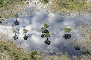 Dead Prints: Aerial view of Khwai River, Okavango Delta, Botswana, Africa