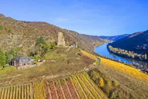 Aerial view at Klotten with castle, Mosel valley, Eifel, Rhineland-Palatinate, Germany