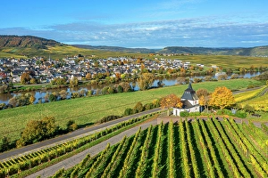 River Mosel Prints: Aerial view at Laurentius chapel near Trittenheim