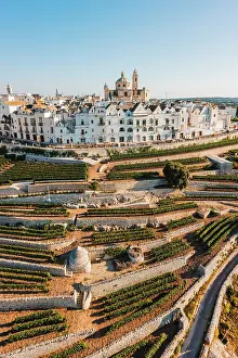 Locorotondo Prints: Aerial view of Locorotondo village, Bari province, Apulia, Italy