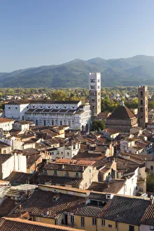 Aerial view of Lucca Cathedral and the walled city, Lucca, Tuscany, Italy