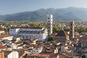 Lucca Prints: Aerial view of Lucca Cathedral and the walled city, Lucca, Tuscany, Italy