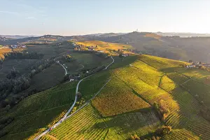 Harvest Prints: Aerial view of Monferrato vineyards in Piedmont, Italy
