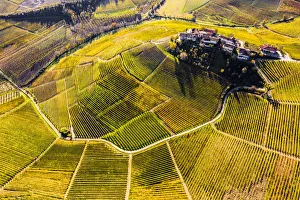 Barbaresco Prints: Aerial view of Montestefano village in autumn. Barbaresco region, Piedmont, Italy, Europe