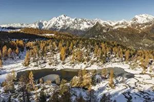 Aerial view of Mufule Lake and Mount Disgrazia surrounded by autumnal larches and snow