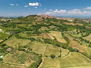 Montepulciano Prints: Aerial View over Olive Groves and Vineyards, Montepulciano, Tuscany, Italy, Europe