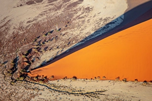 Dunes Prints: Aerial view of orange sand dune from helicopter