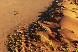 Sossusvlei Prints: Aerial view of orange sand dunes and oryx from helicopter