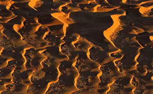 Sossusvlei Prints: Aerial view of a pattern of golden sand dunes at sunrise