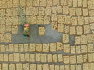 Factory Prints: Aerial view of people working in the traditional vermicelli factory in Bogura, Bangladesh