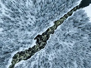 Nordic Countries Prints: Aerial View over Pine Forest in Winter, Oulanka National Park, Kuusamo, Finland