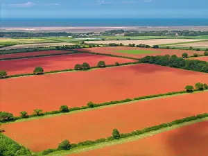 Poppies Prints: Aerial View over Poppy Fields, near Ringstead, Norfolk, England