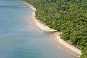 Images Dated 29th August 2012: Aerial view of rain forest and beach, Daintree Forest, Daintree National Park, nr Cairns