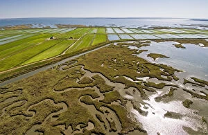 Aerial Photo Gallery: Aerial view of rice fields and marshes along the Sado river. Comporta, Alentejo, Portugal