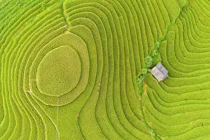 Straight Down Prints: Aerial view of rice terraces, Mu Cang Chai, Northwest Vietnam, Asia