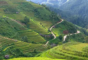 Rice Fields Prints: Aerial view of rice terraces, Mu Cang Chai, Northwest Vietnam, Asia
