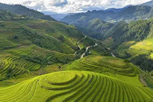 Crop Prints: Aerial view of rice terraces, Mu Cang Chai, Northwest Vietnam, Asia
