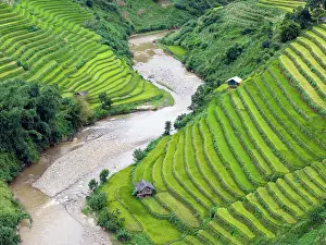 Rice Fields Prints: Aerial view of rice terraces, Mu Cang Chai, Northwest Vietnam, Asia