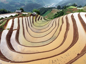 Crop Prints: Aerial view of the rice terraces at Mu Cang Chai, Vietnam