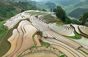 Crop Prints: Aerial view of the rice terraces at Mu Cang Chai, Vietnam
