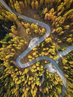 Straight Down Prints: Aerial View over Road in Autumn, Belluno Province, Veneto, Italy