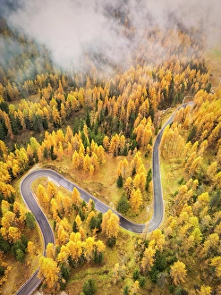 South Tyrol Prints: Aerial View of Road in Autumn, Passo Giau