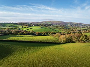 Farming Prints: Aerial view of rolling Dartmoor countryside, Devon, England. Autumn (November) 2023